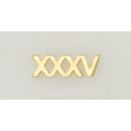 Numeral Policia N. Pasador XXXV