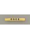Barra mision " OSCE "