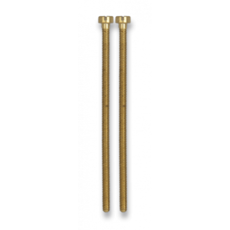 Tornillos largos para distintivos (2 un)