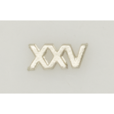 Numeral Policia N. Pasador XXV