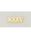 Numeral Policia N. Pasador XXXV