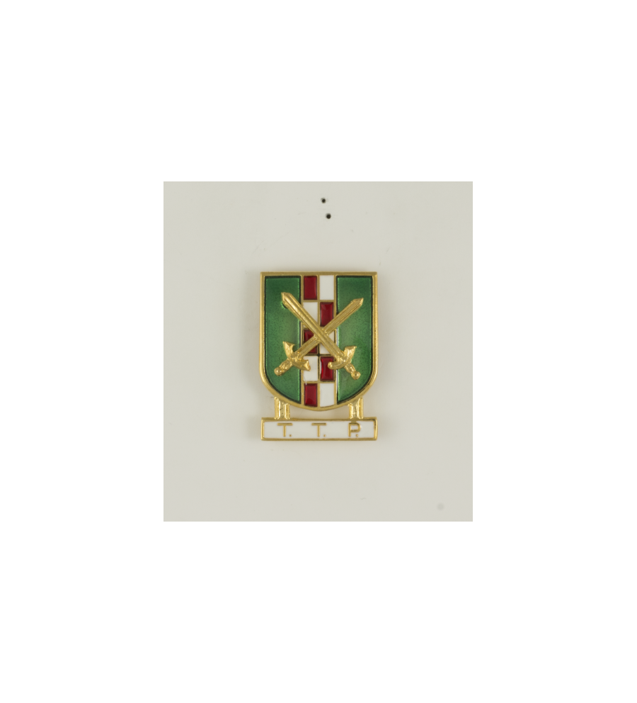 Distintivo Especialidad TTP