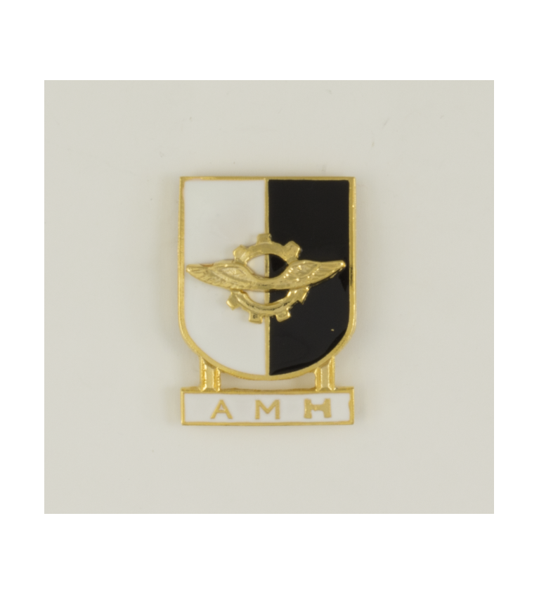 Distintivo Especialidad AMH