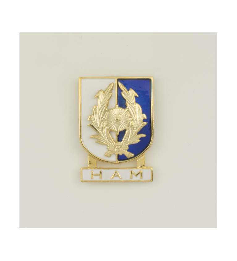 Distintivo Especialidad HAM