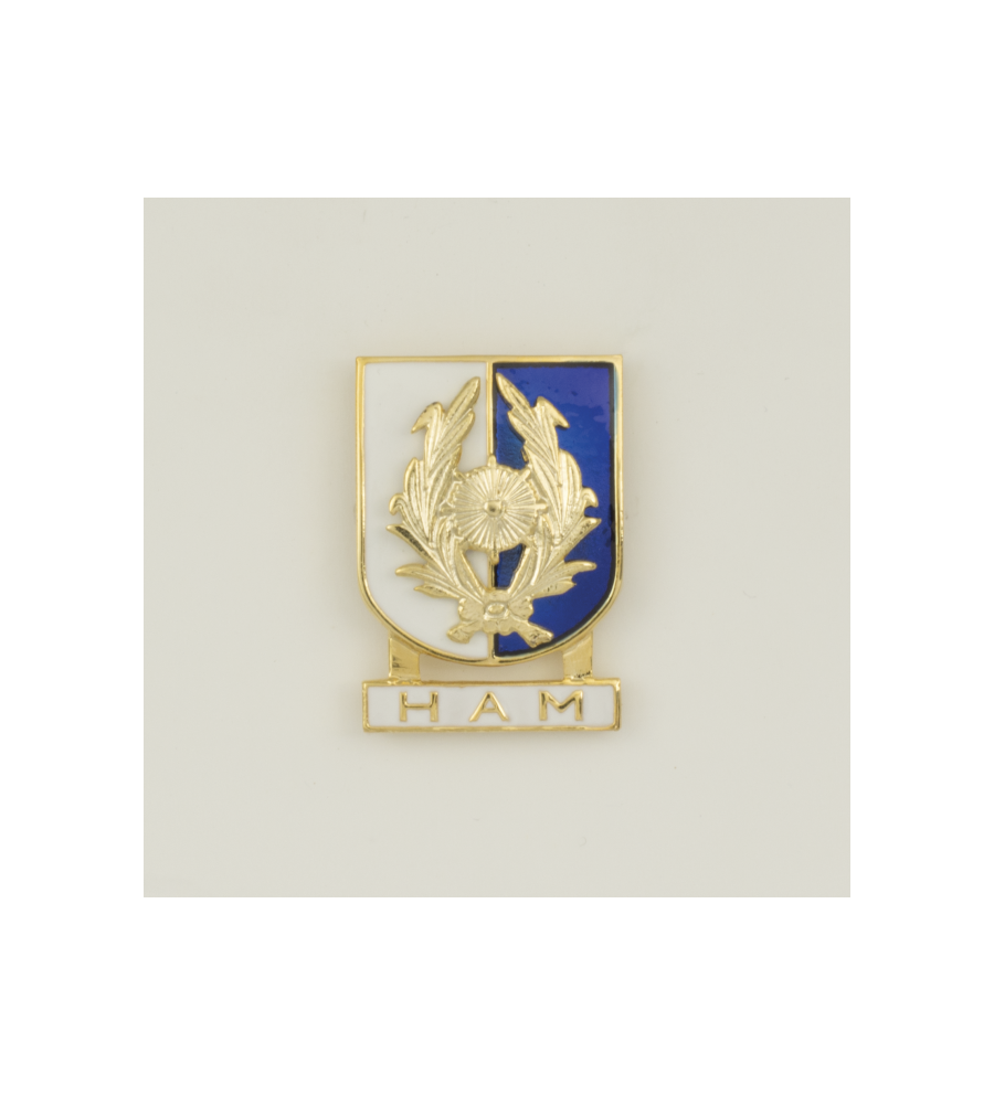 Distintivo Especialidad HAM