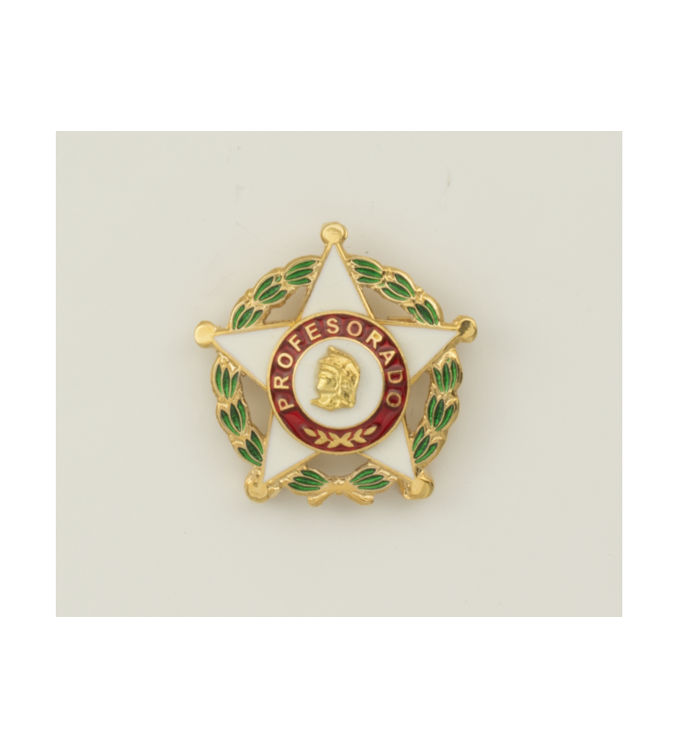 Distintivo Profesorado Oficial
