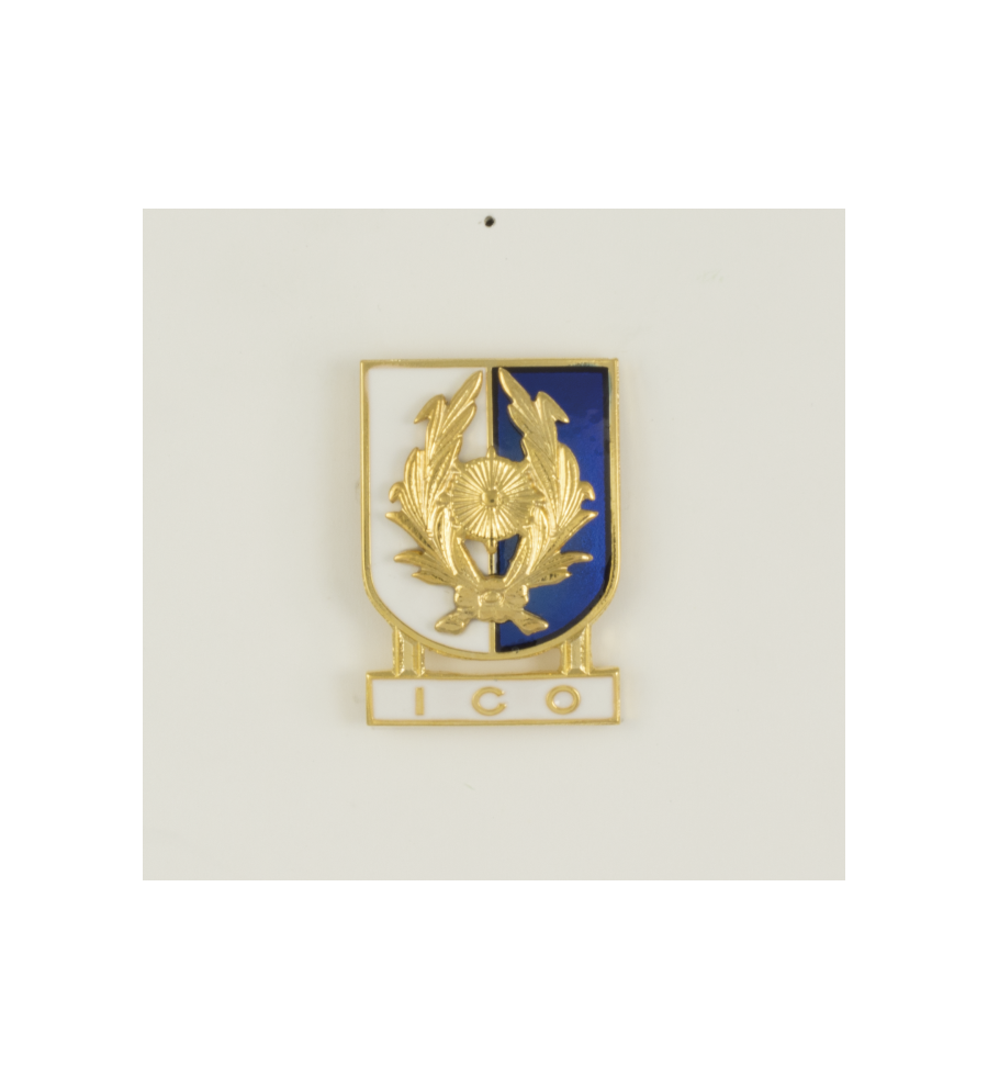Distintivo Especialidad ICO