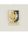 Distintivo Especialidad ICO