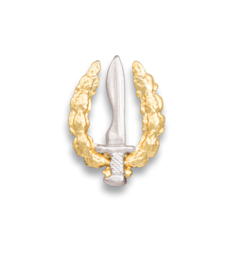 Pin pequeño emblema GOE