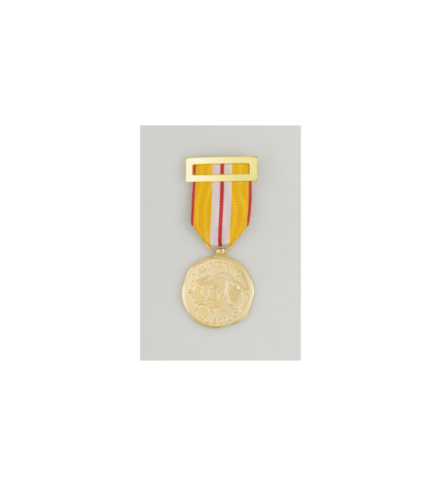 Medalla al Merito TURISTICO
