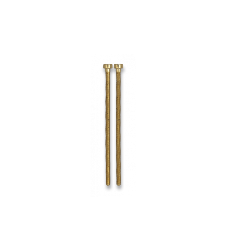 Tornillos largos para distintivos (2 un)