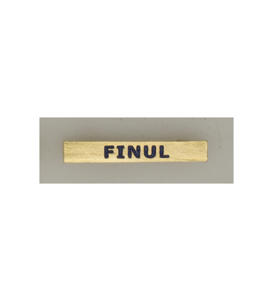 Barra mision " FINUL "