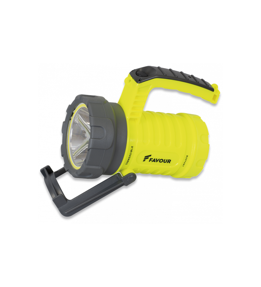 Foco FAVOUR 1080 lummens