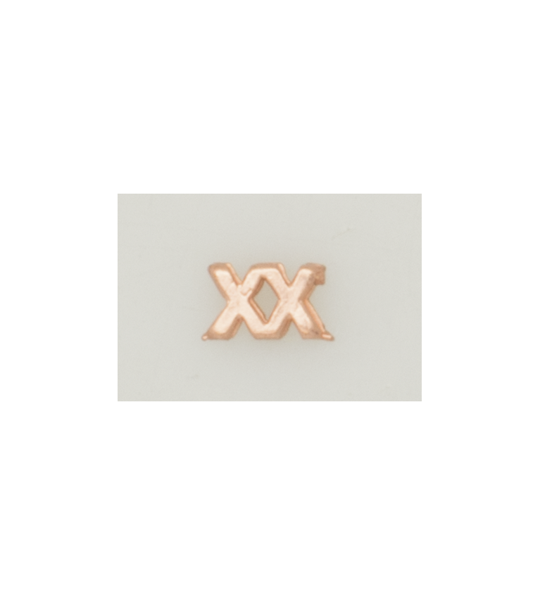 Numeral policia N. pasador XX