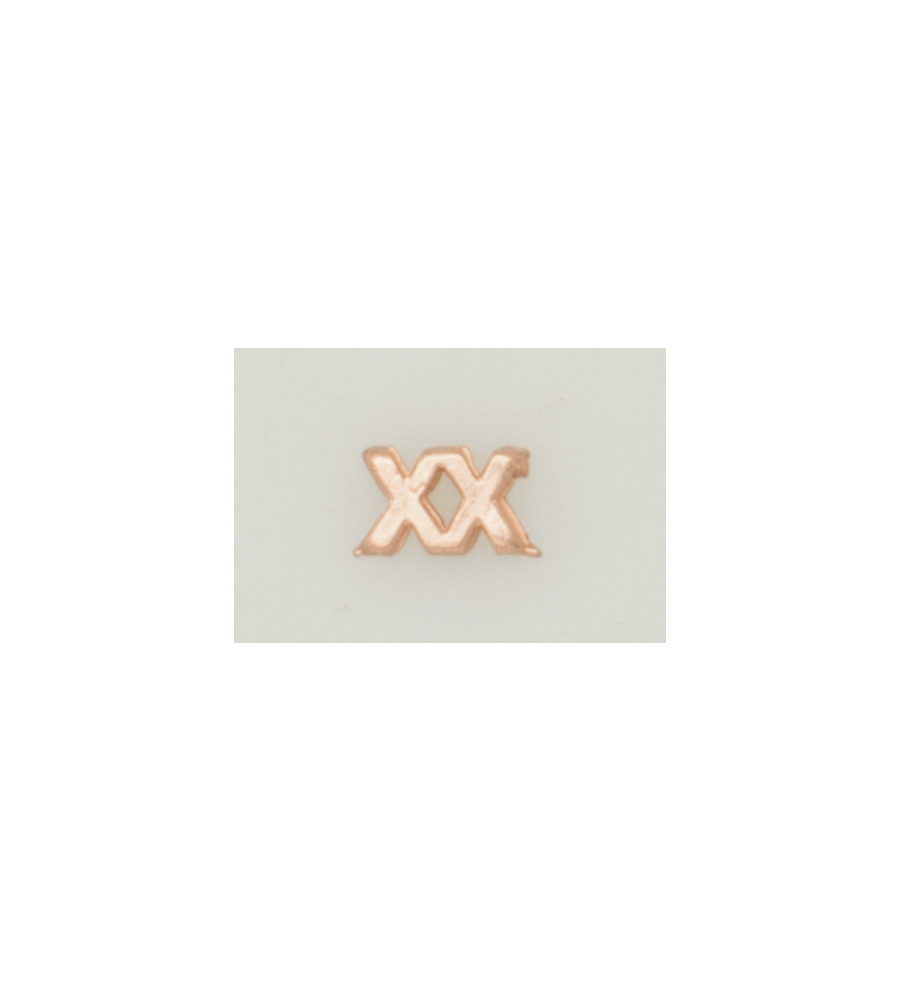 Numeral policia N. pasador XX