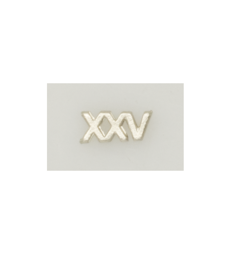 Numeral Policia N. Pasador XXV