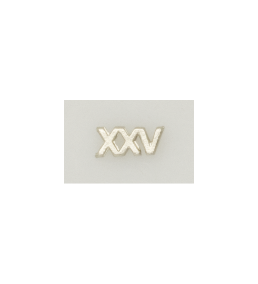 Numeral Policia N. Pasador XXV