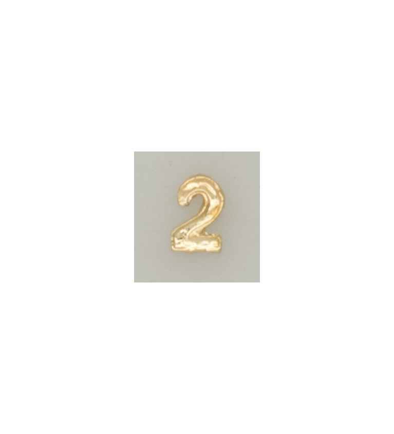 Numeral pasador diario " 2 ORO "
