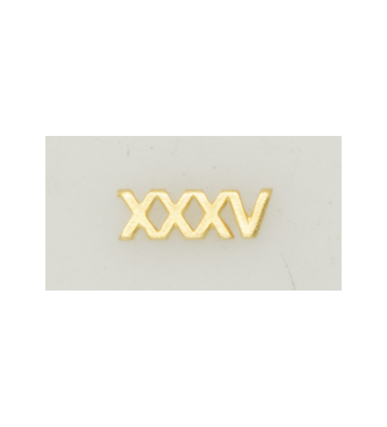 Numeral Policia N. Pasador XXXV