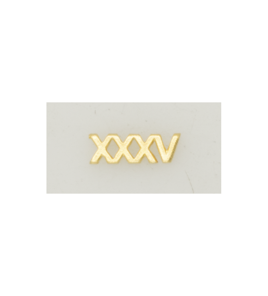 Numeral Policia N. Pasador XXXV