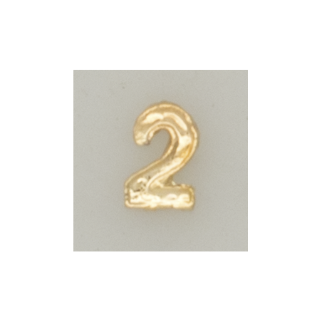 Numeral pasador diario " 2 ORO "