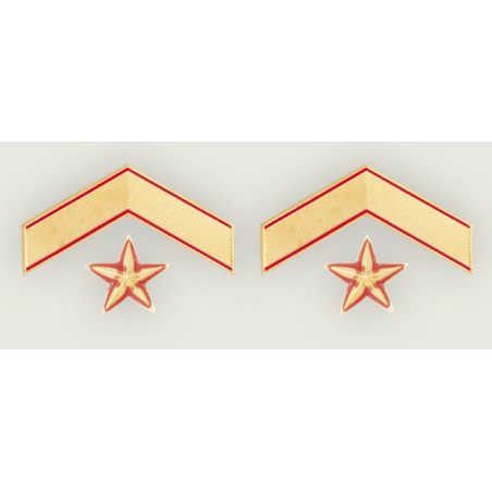 GALON METAL SUBTENIENTE