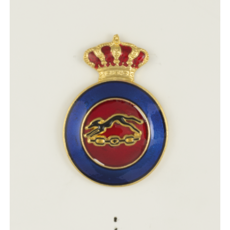 Distintivo Educacion Fisica Instructor