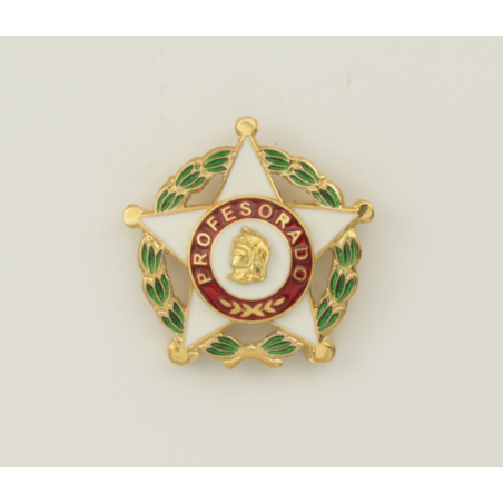 Distintivo Profesorado Oficial