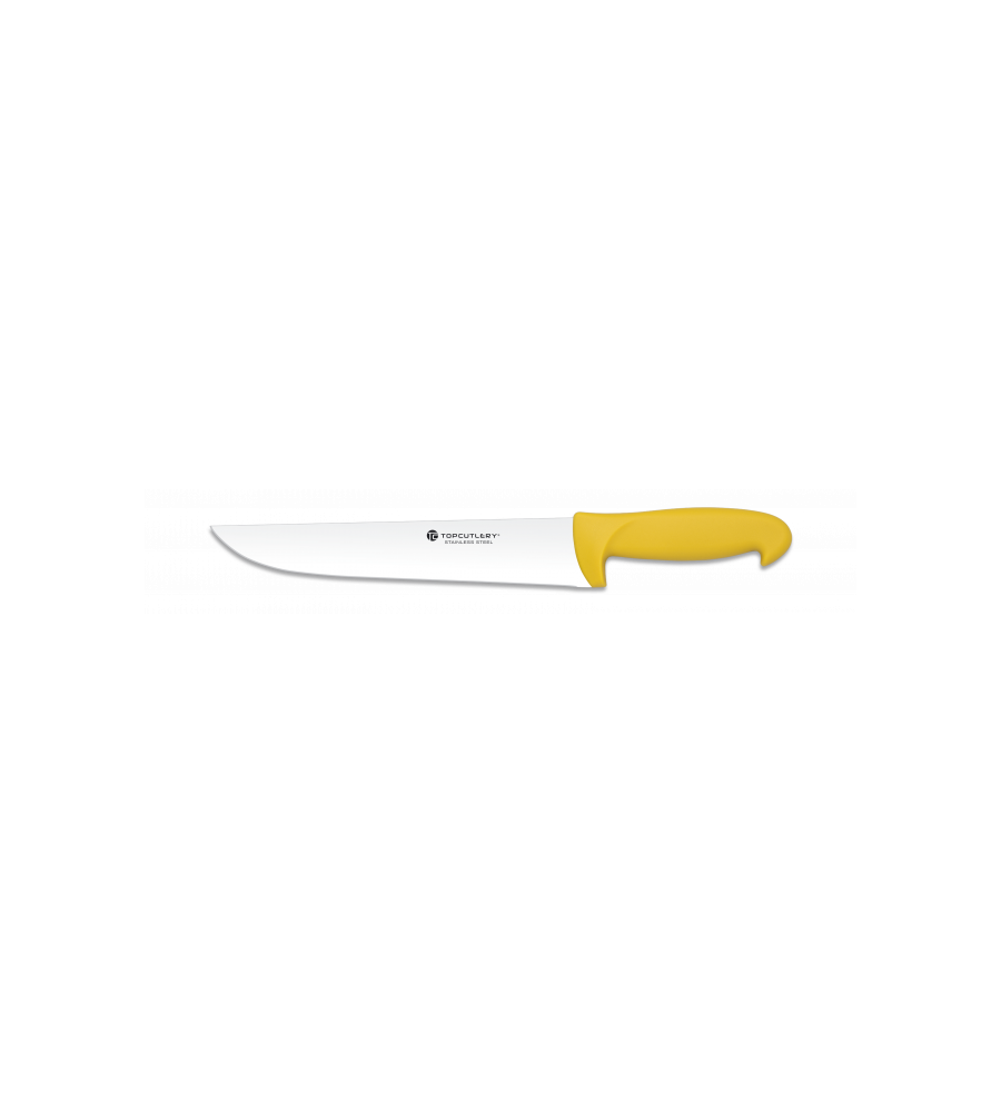 Cuchillo COCINERO (25 cm) ABS ALBAINOX