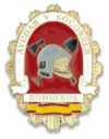 Chapa cartera BOMBEROS