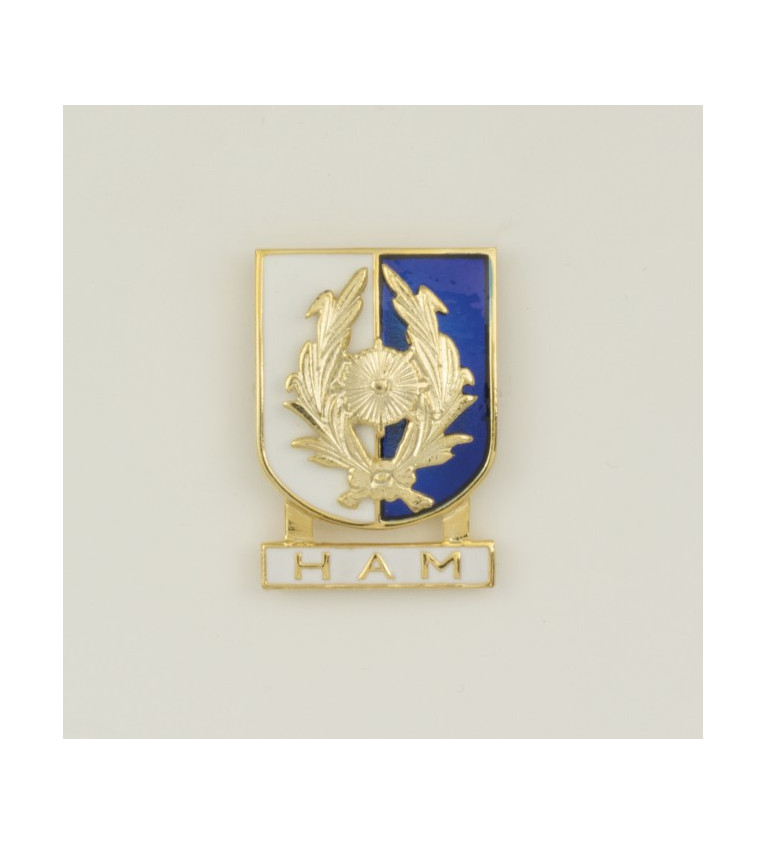 Distintivo Especialidad HAM