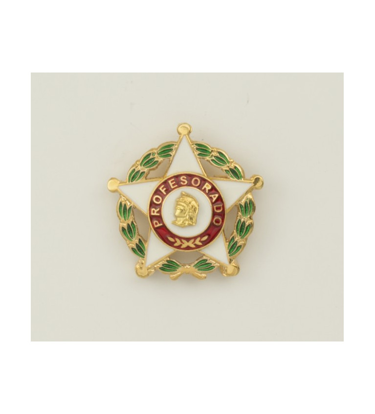 Pin Distintivo Profesorado Oficial