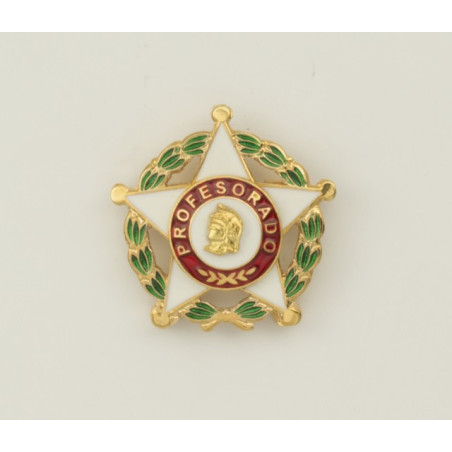 Pin Distintivo Profesorado Oficial