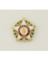 Pin Distintivo Profesorado Oficial