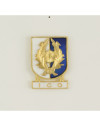 Distintivo Especialidad ICO