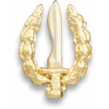 Pin pequeño emblema GOE