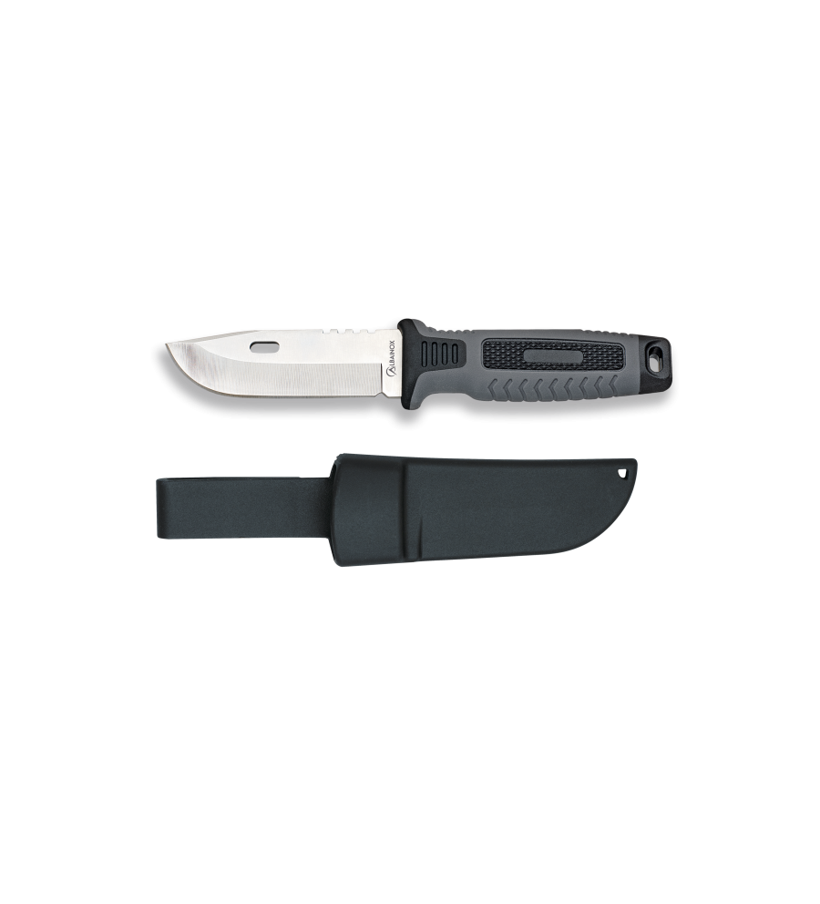 Cuchillo ALBAINOX hoja satin: 8.8 cm, ca