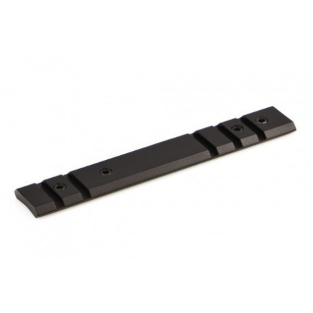 Bases Warne Ruger 10/22