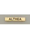 Barra mision " ALTHEA "