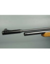 CARABINA PCP ONIX INITZIA